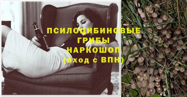 кокаин перу Михайлов