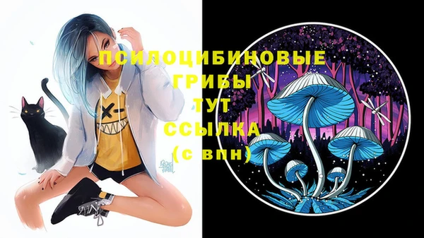 кристаллы Щучье