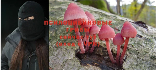 марки lsd Щигры