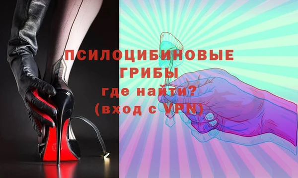 мдпв Липки
