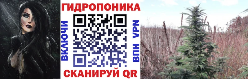 Бошки Шишки план  Новомосковск 